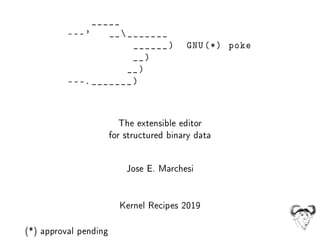 _____
---' _________
______) GNU(*) poke
__)
__)
---._______)
The extensible editor
for structured binary data
Jose E. Marchesi
Kernel Recipes 2019
(*) approval pending
 