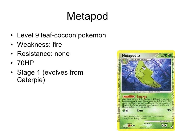 Download Leaf Cocoon Pokemon PNG