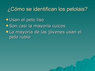 ¿Cómo se identifican los pelolais? Usan el pelo liso Son casi la mayoría cuicos La mayoría de las jóvenes usan el pelo rubio  