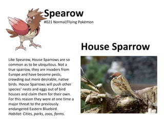 Spearow
#021 Normal/Flying Pokémon
House Sparrow
Like Spearow, House Sparrows are so
common as to be ubiquitous. Not a
true sparrow, they are invaders from
Europe and have become pests,
crowding out more desirable, native
birds. House Sparrows will push other
species’ nests and eggs out of bird
houses and claim them for their own.
For this reason they were at one time a
major threat to the previously
endangered Eastern Bluebird.
Habitat: Cities, parks, zoos, farms.
 