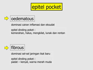 epitel pocket
oedematous
fibrous
dominasi cairan inflamasi dan eksudat
epitel dinding poket :
kemerahan, halus, mengkilat, lunak dan rentan
dominasi sel-sel jaringan ikat baru
epitel dinding poket :
padat – kenyal, warna merah muda
 