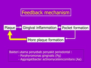 Feedback mechanism
Plaque Gingival inflammation Pocket formation
More plaque formation
Bakteri utama penyebab penyakit periodontal :
- Porphyromonas gingivalis (Pg)
- Aggregatibacter actinomycetemcomitans (Aa)
 