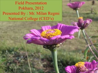Field Presentation
         Pokhara, 2012
Presented By : Mr. Milan Regmi
   National College (CED’s)




 1/14/2013            Regmi Milan   1
 