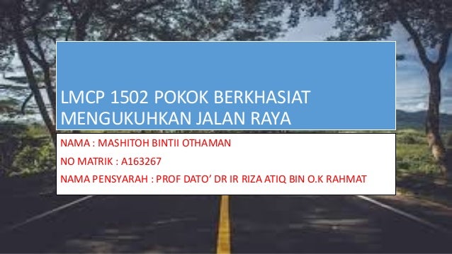 Pokok Berkhasiat Memperkukuhkan Jalanraya