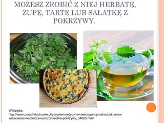 MOŻESZ ZROBIĆ Z NIEJ HERBATĘ,
ZUPĘ, TARTĘ LUB SAŁATKĘ Z
POKRZYWY.
Wikipedia
http://www.poradnikzdrowie.pl/zdrowie/medycyna-niekonwencjonalna/pokrzywa-
wlasciwosci-lecznicze-i-prozdrowotne-pokrzywy_34065.html
 