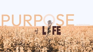 Purpose of Life - an Islamic Perspective