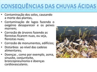 Contaminação dos solos, causando a morte das plantas, Contaminação de lagos fazendo o oxigénio desaparecer e os peixes morrem; Corrosão de árvores fazendo as florestas ficarem nuas, ou seja, florestas nuas; Corrosão de monumentos, edifícios; Distúrbios  ao nível das cadeias alimentares; Doenças , como por exemplo, asma, sinusite, conjuntivite, broncopneumonia e doenças cardiovasculares. 