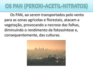 Os PAN, ao serem transportados pelo vento para as zonas agrícolas e florestais, atacam a vegetação, provocando a necrose das folhas, diminuindo o rendimento da fotossíntese e, consequentemente, das culturas. 