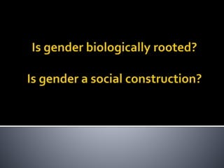 Pol 252 race_ethnicity_gender