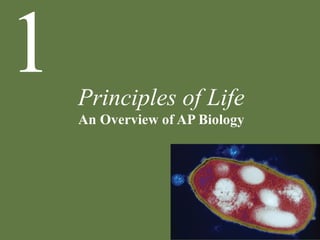 Principles of Life
An Overview of AP Biology
1
 