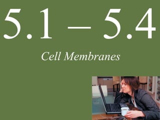 Cell Membranes
5.1 – 5.4
 