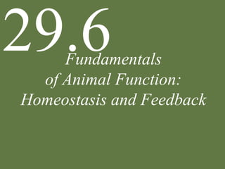 Fundamentals
of Animal Function:
Homeostasis and Feedback
29.6
 