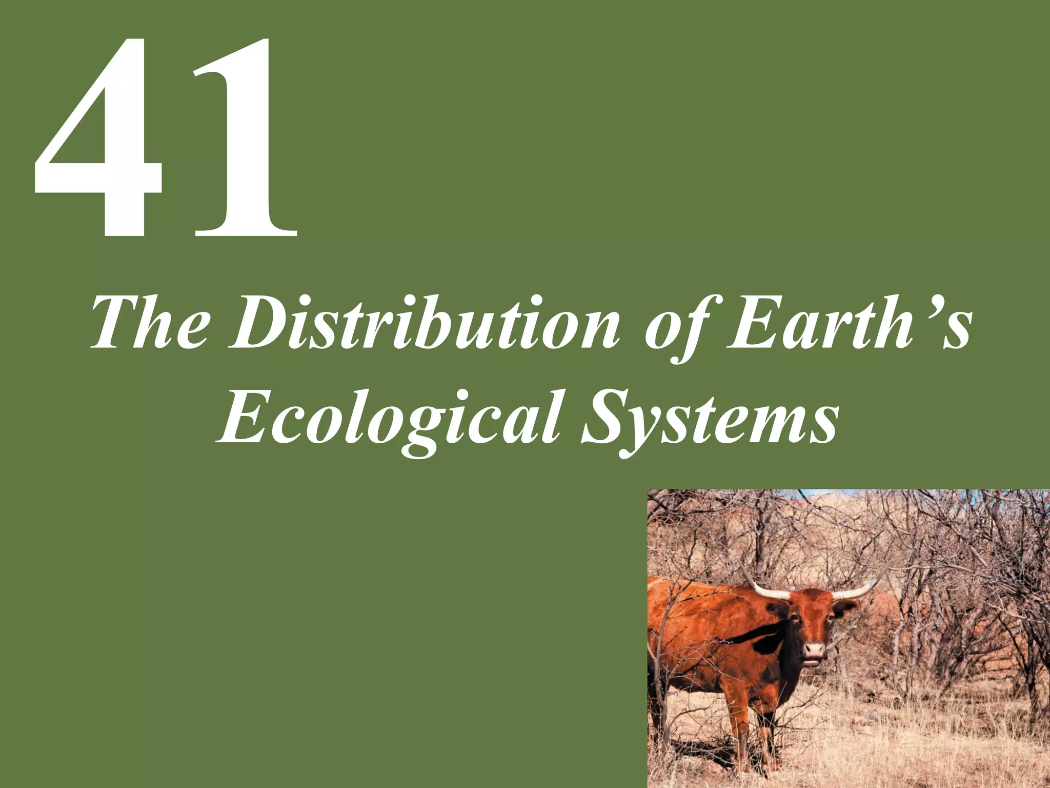 Po l2e ch41 lecture the distribution of earths ecological systems ...