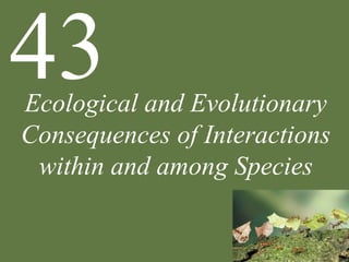 Ecological and Evolutionary
Consequences of Interactions
within and among Species
43
 