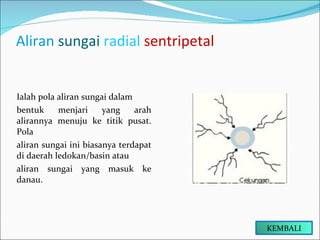 Aliran  sungai  radial   sentripetal  Ialah pola aliran sungai dalam bentuk menjari yang arah alirannya menuju ke titik pusat. Pola aliran sungai ini biasanya terdapat di daerah ledokan/basin atau aliran sungai yang masuk ke danau. KEMBALI 