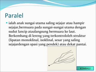 Paralel ialah anak sungai utama saling sejajar atau hampir sejajar,bermuara pada sungai-sungai utama dengan sudut lancip ataulangsung bermuara ke laut. Berkembang di lereng yang terkontrololeh struktur (lipatan monoklinal, isoklinal, sesar yang saling sejajardengan spasi yang pendek) atau dekat pantai. KEMBALI 