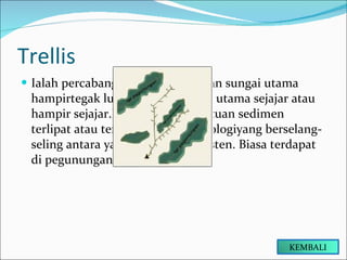 Trellis Ialah percabangan anak sungai dan sungai utama hampirtegak lurus, sungai-sungai utama sejajar atau hampir sejajar.Berkembang di batuan sedimen terlipat atau terungkit dengan litologiyang berselang-seling antara yang lunak dan resisten. Biasa terdapat di pegunungan lipatan KEMBALI 