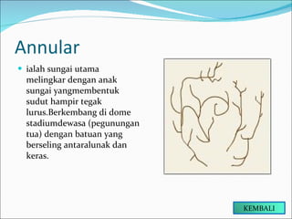 Annular ialah sungai utama melingkar dengan anak sungai yangmembentuk sudut hampir tegak lurus.Berkembang di dome stadiumdewasa (pegunungan tua) dengan batuan yang berseling antaralunak dan keras. KEMBALI 