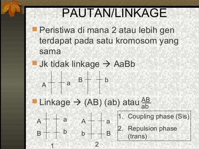 Pola Pola Hereditas Sma