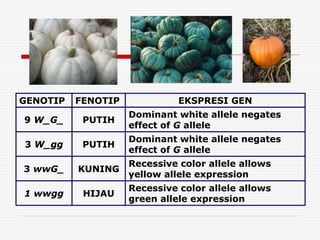 Pola-Pola Hereditas.ppt