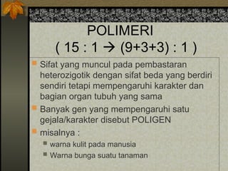 POLIMERI
( 15 : 1  (9+3+3) : 1 )
 Sifat yang muncul pada pembastaran
heterozigotik dengan sifat beda yang berdiri
sendiri tetapi mempengaruhi karakter dan
bagian organ tubuh yang sama
 Banyak gen yang mempengaruhi satu
gejala/karakter disebut POLIGEN
 misalnya :
 warna kulit pada manusia
 Warna bunga suatu tanaman
 