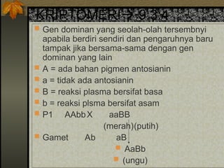 KRIPTOMERI 9:3:4
 Gen dominan yang seolah-olah tersembnyi
apabila berdiri sendiri dan pengaruhnya baru
tampak jika bersama-sama dengan gen
dominan yang lain
 A = ada bahan pigmen antosianin
 a = tidak ada antosianin
 B = reaksi plasma bersifat basa
 b = reaksi plsma bersifat asam
 P1 AAbbX aaBB
(merah)(putih)
 Gamet Ab aB
 AaBb
 (ungu)
 