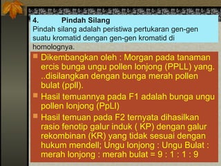 4. Pindah Silang
Pindah silang adalah peristiwa pertukaran gen-gen
suatu kromatid dengan gen-gen kromatid di
homolognya.
 Dikembangkan oleh : Morgan pada tanaman
ercis bunga ungu pollen lonjong (PPLL) yang.
..disilangkan dengan bunga merah pollen
bulat (ppll).
 Hasil temuannya pada F1 adalah bunga ungu
pollen lonjong (PpLl)
 Hasil temuan pada F2 ternyata dihasilkan
rasio fenotip galur induk ( KP) dengan galur
rekombinan (KR) yang tidak sesuai dengan
hukum mendell; Ungu lonjong : Ungu Bulat :
merah lonjong : merah bulat = 9 : 1 : 1 : 9
 