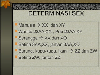 DETERMINASI SEX
 Manusia  XX dan XY
 Wanita 22AA,XX , Pria 22AA,XY
 Serangga  XX dan XO
 Betina 3AA,XX, jantan 3AA,XO
 Burung, kupu-kupu, ikan  ZZ dan ZW
 Betina ZW, jantan ZZ
 