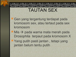 TAUTAN SEX
 Gen yang tergantung terdapat pada
kromosom sex, atau tertaut pada sex
kromosom
 Mis  pada warna mata merah pada
Drosophila terpaut pada kromosom X
 Yang putih pasti jantan , tetapi yang
jantan belum tentu putih
 