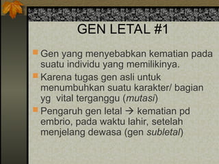 GEN LETAL #1
 Gen yang menyebabkan kematian pada
suatu individu yang memilikinya.
 Karena tugas gen asli untuk
menumbuhkan suatu karakter/ bagian
yg vital terganggu (mutasi)
 Pengaruh gen letal  kematian pd
embrio, pada waktu lahir, setelah
menjelang dewasa (gen subletal)
 
