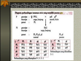 Pola-pola Hereditas SMA/MA Kelas XII .ppt