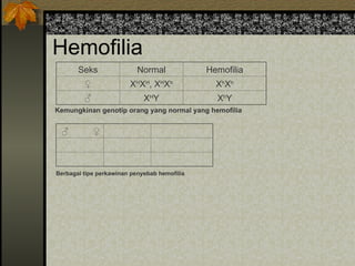 Hemofilia
Seks Normal Hemofilia
♀ XH
XH
, XH
Xh
Xh
Xh
♂ XH
Y Xh
Y
Kemungkinan genotip orang yang normal yang hemofilia
♂ ♀
Berbagai tipe perkawinan penyebab hemofilia
 