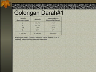 Golongan Darah#1
Fenotip
Golongan Darah
Genotip
Kemungkinan
Macam Sel Gamet
A
B
AB
O
IA
IA
, IA
IO
IB
IB
, IB
IO
IA
IB
IO
IO
IA
, IO
IB
, IO
IA
, IB
IO
4 macam 6 macam 3 macam
Hubungan antara Fenotip Golongan Darah Sistem A, B, O,
Genotip, dan Kemungkinan Macam Gamet
 