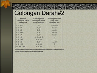 Golongan Darah#2
Fenotip
Golongan Darah
Orang tua
Kemungkinan
Golongan Darah
Anak-anaknya
Golongan Darah
yang tidak
mungkin ada
1. O x O
2. O x A
3. O x B
4. O x AB
5. A x A
6. A x B
7. A x AB
8. B x B
9. B x AB
10. AB x AB
O
A, O
B, O
A, B
A, O
A, B, AB, O
A, B, AB
B, O
A, B, AB
A, B, AB
A, B, AB
B, AB
A, AB
O, AB
B, AB
--
O
A, AB
0
0
Golongan darah orang tu dan kemungkinan atau tidak mungkin
pada golongan darah anak-anaknya
 