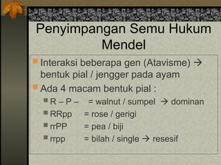 Penyimpangan Semu Hukum
Mendel
 Interaksi beberapa gen (Atavisme) 
bentuk pial / jengger pada ayam
 Ada 4 macam bentuk pial :
 R – P – = walnut / sumpel  dominan
 RRpp = rose / gerigi
 rrPP = pea / biji
 rrpp = bilah / single  resesif
 