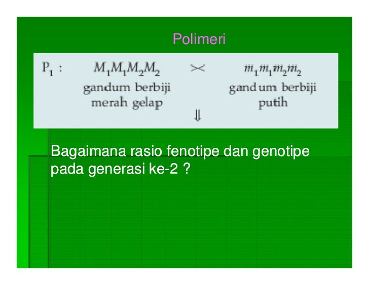 Pola Pola Hereditas Ismail Pola Pola Hereditas Ismail