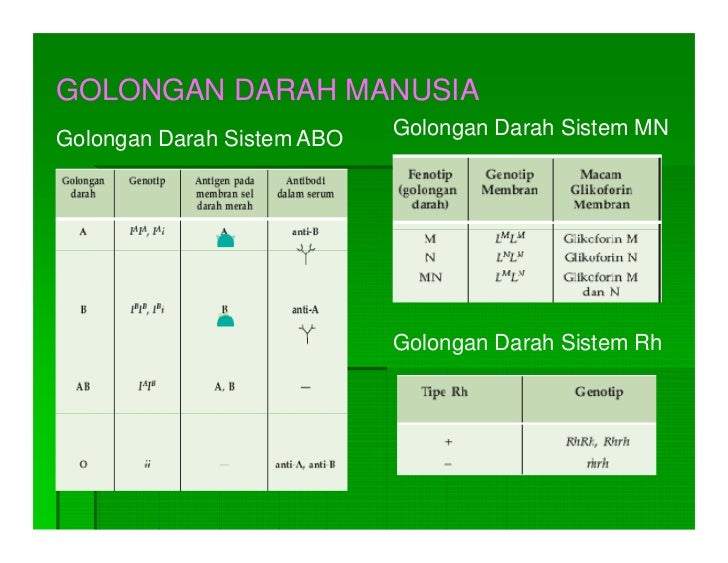 Pola Pola Hereditas Ismail