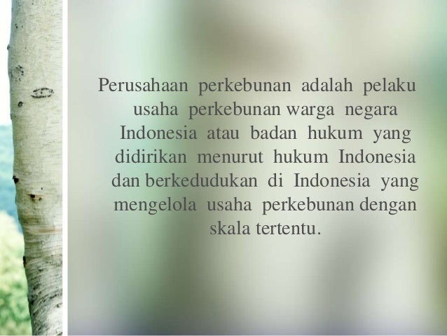 Strategi perdagangan pengenalan pola