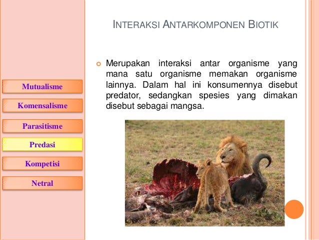 Pola interaksi dalam ekosistem