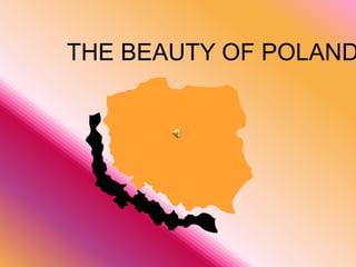 THE BEAUTY OF POLAND 