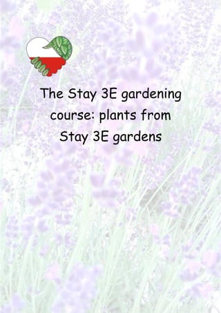 The Stay 3E gardening
course: plants from
Stay 3E gardens
 