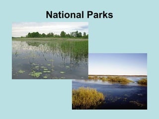 2. Population and religion   Population of Poland:  38,7 million Minorities:  Belarussians, Ukrainians, Germaans 