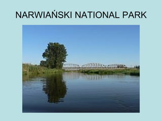 1978  Cardinal Karol Wojtyła, elected pope, takes the name John Paul II.  