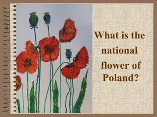 What is the
national
flower of
Poland?
 