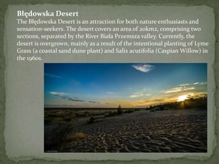 Błędowska Desert 
The Błędowska Desert is an attraction for both nature enthusiasts and 
sensation-seekers. The desert covers an area of 20km2, comprising two 
sections, separated by the River Biała Przemsza valley. Currently, the 
desert is overgrown, mainly as a result of the intentional planting of Lyme 
Grass (a coastal sand dune plant) and Salix acutifolia (Caspian Willow) in 
the 1960s. 
 