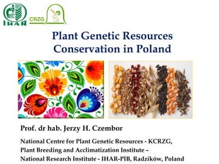 Prof. dr hab. Jerzy H. Czembor
National Centre for Plant Genetic Resources - KCRZG,
Plant Breeding and Acclimatization Institute –
National Research Institute - IHAR-PIB, Radzików, Poland
Plant Genetic Resources
Conservation in Poland
 
