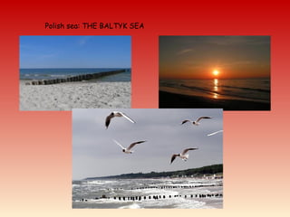 Polish sea: THE BALTYK SEA
 
