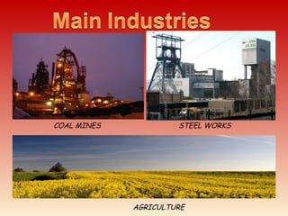 COAL MINES STEEL WORKS
AGRICULTURE
 