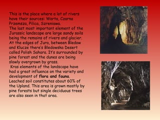 This is the place where a lot of rivers
have their sources: Warta, Czarna
Przemsza, Pilica, Szreniawa.
The last most important element of the
Jurassic landscape are large sandy soils
being the remains of rivers and glacier.
At the edges of Jura, between Bledow
and Klucze there’s Bledowska Desert
called Polish Sahara. It’s surrounded by
pine forest and the dunes are being
slowly overgrown by grass.
Kras elements of the landscape have
had a great influence on the variety and
development of flora and fauna.
Leached soil constitutes about 60% of
the Upland. This area is grown mostly by
pine forests but single deciduous trees
are also seen in that area.
 