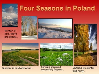 Winter is
cold, white
and snowy…
Autumn is colorful
and rainy…
Spring is green and
wonderfully fragrant…
Summer is mild and warm…
 